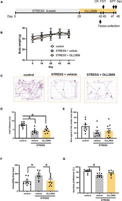 Lactobacillus paragasseri OLL2809 Improves Depression-Like Behavior and Increases Beneficial Gut Microbes in Mice